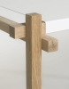 Woody Closeup 01.jpg