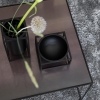 imgl6680.jpg