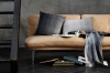 ELVANG pled HORIZON