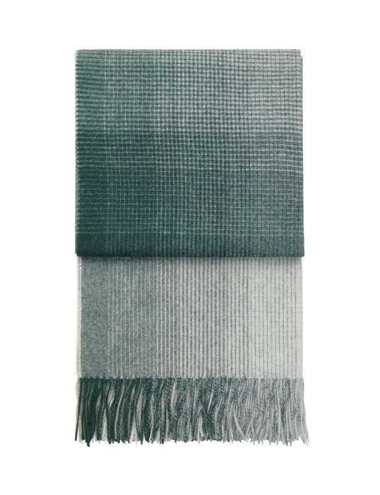 ELVANG pled HORIZON