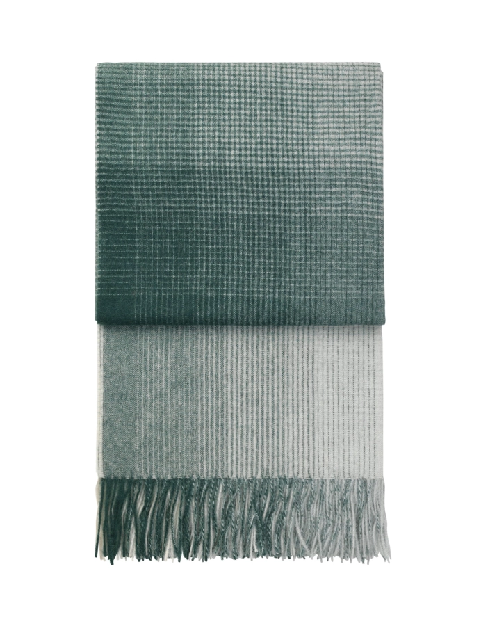 ELVANG pled HORIZON