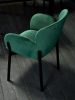 Screenshot_3237.jpg