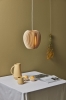 SCHNEID lampa wisząca PIRUM