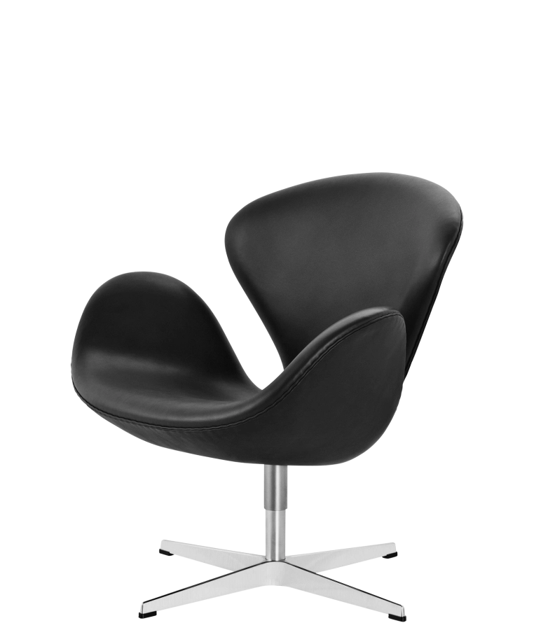 Swan_Elegance_Black png.png