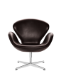 Swan_Elegance_Dark_brown png.png