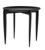 FRITZ HANSEN stolik TABLE TRAY czarny dąb różne kolory