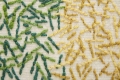 backstitch-calm-green-2.jpg