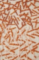backstitch-calm-brick-2.jpg