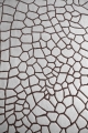 dragonfly-detail-handknotted.jpg