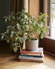 Plant Pot With Saucer L grey.jpg