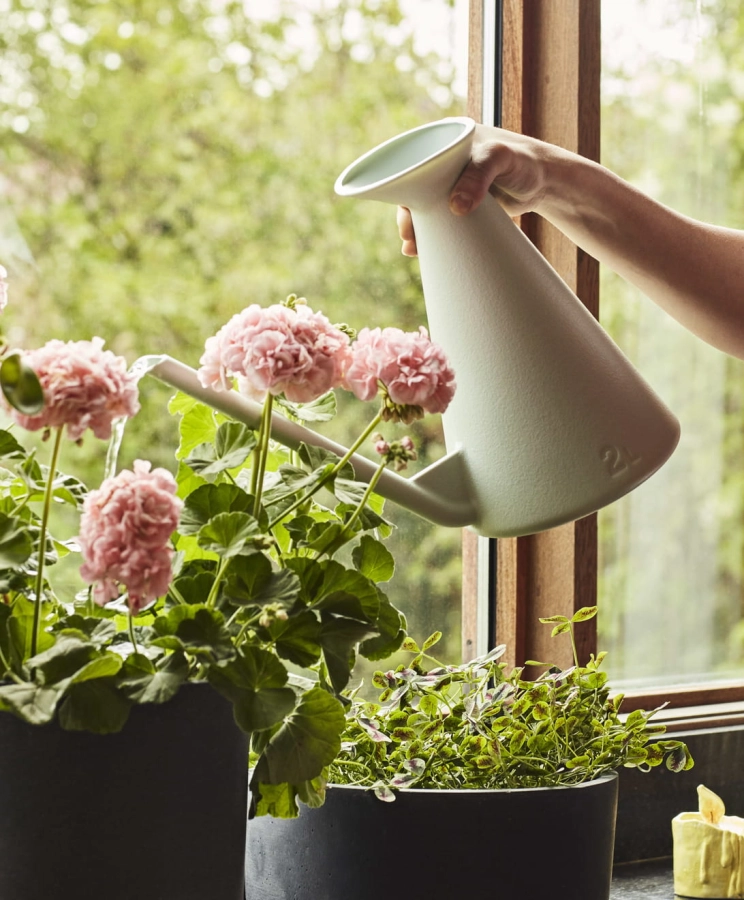 Watering Can light grey_Plant Pot With Saucer black (1).jpg