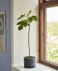Plant Pot With Saucer XL black.jpg