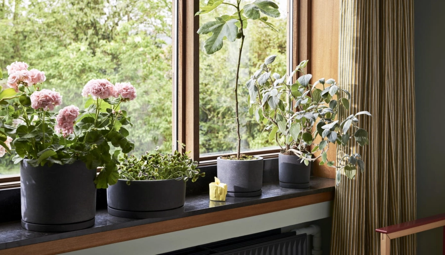 Plant Pot With Saucer black family.jpg