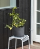 Palissade Stool Hot Galvanised_Plant Pot With Saucer XXL black.jpg