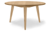ch008-eg-olie-side-small.png