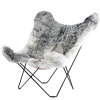 Iceland Mariposa Shorn Grey Black Frame_Easy-Resize.com.jpg