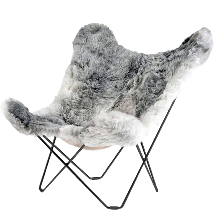 Iceland Mariposa Shorn Grey Black Frame_Easy-Resize.com.jpg