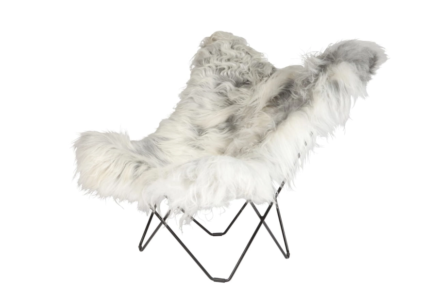 Iceland Mariposa Wild Grey Black Frame_Easy-Resize.com.jpg