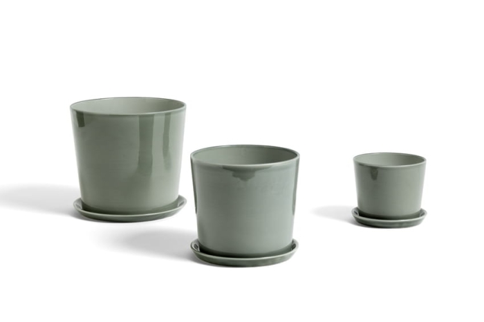 Botanical family dusty green_family.jpg