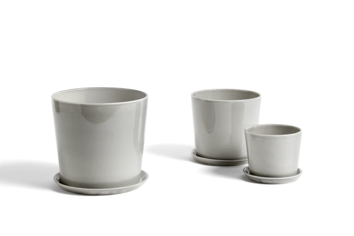 Botanical Family light grey_ family.jpg