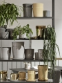 Botanical Family_New Order shelving system, charcoal_HAY Aarhus.jpg
