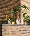 Botanical Family_Watering Can terracotta.jpg