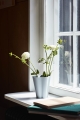 Iris Vase grey.jpg
