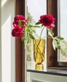 Bottoms Up Vase L amber.jpg