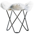 Iceland Flying Goose Black Frame_Easy-Resize.com.jpg