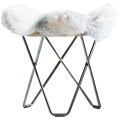 Iceland Flying Goose Chrome Frame_Easy-Resize.com.jpg