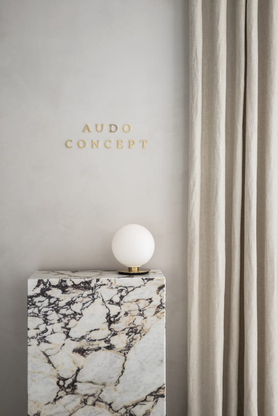 The Audo2715_Jonasbjerrepoulsen.jpg