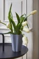 Iris Vase grey_DLM black.jpg