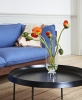 Arbour 3 Seater Re-wool 758 oiled waxed walnut_Tulou Coffee Table black_Crinkle Stripe Plaid cappuccino_01.jpg
