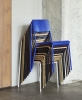 Petit Standard family 01.jpg