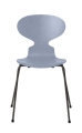 16191_Ant - Lavender Blue_ Coloured ash_ Warm Graphite.jpg