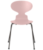 3101-ant_pale-rose_coloured-ash_warm-graphite-base-png.png