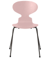 3101-ant_pale-rose_coloured-ash_warm-graphite-base-png.png