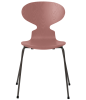 3101-ant_wild-rose_coloured-ash_warm-graphite-base-png.png