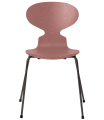 3101-ant_wild-rose_coloured-ash_warm-graphite-base-png.png
