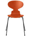 3101-ant_paradise-orange_coloured-ash_warm-graphite-base-png.png