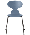 3101-ant_dusk-blue_coloured-ash_warm-graphite-base-png.png