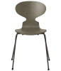 3101-ant_olive-green_coloured-ash_warm-graphite-base-png.png
