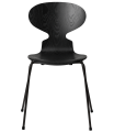 3101-ant_black_coloured-ash_black-base-png.png