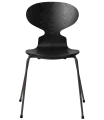 3101-ant_black_coloured-ash_warm-graphite-base-png.png