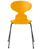 3101-ant_true-yellow_coloured-ash_warm-graphite-base-png.png