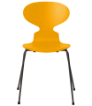 3101-ant_true-yellow_coloured-ash_warm-graphite-base-png.png