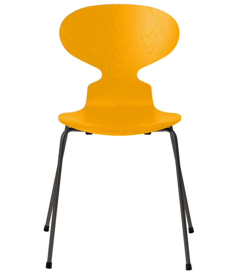 3101-ant_true-yellow_coloured-ash_warm-graphite-base-png.png