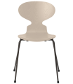 3101-ant_light-beige_coloured-ash_warm-graphite-base-png.png