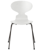 3101-ant_white_coloured-ash_warm-graphite-base-png.png