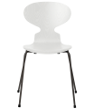 3101-ant_white_coloured-ash_warm-graphite-base-png.png
